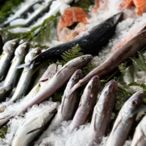 Tôm Sú Biển - Thiên Nhiên